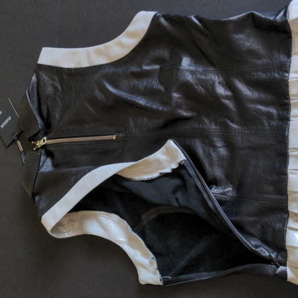 🍁Rudsak Adriana Sleeveless Collared Dress - Picture 4 of 12